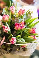 Tulppaani ja Eukalyptus kimppu