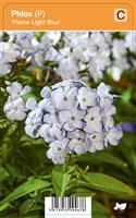 SYYSLEIMU  'FLAME LIGHT BLUE' 