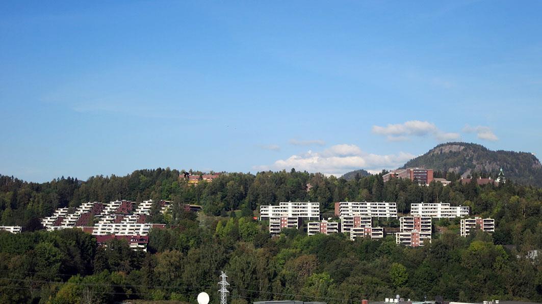 Panorama fra Jongsåsen