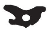 1-TS105SA Koffertlist Cheva Pontiac 57 med clips