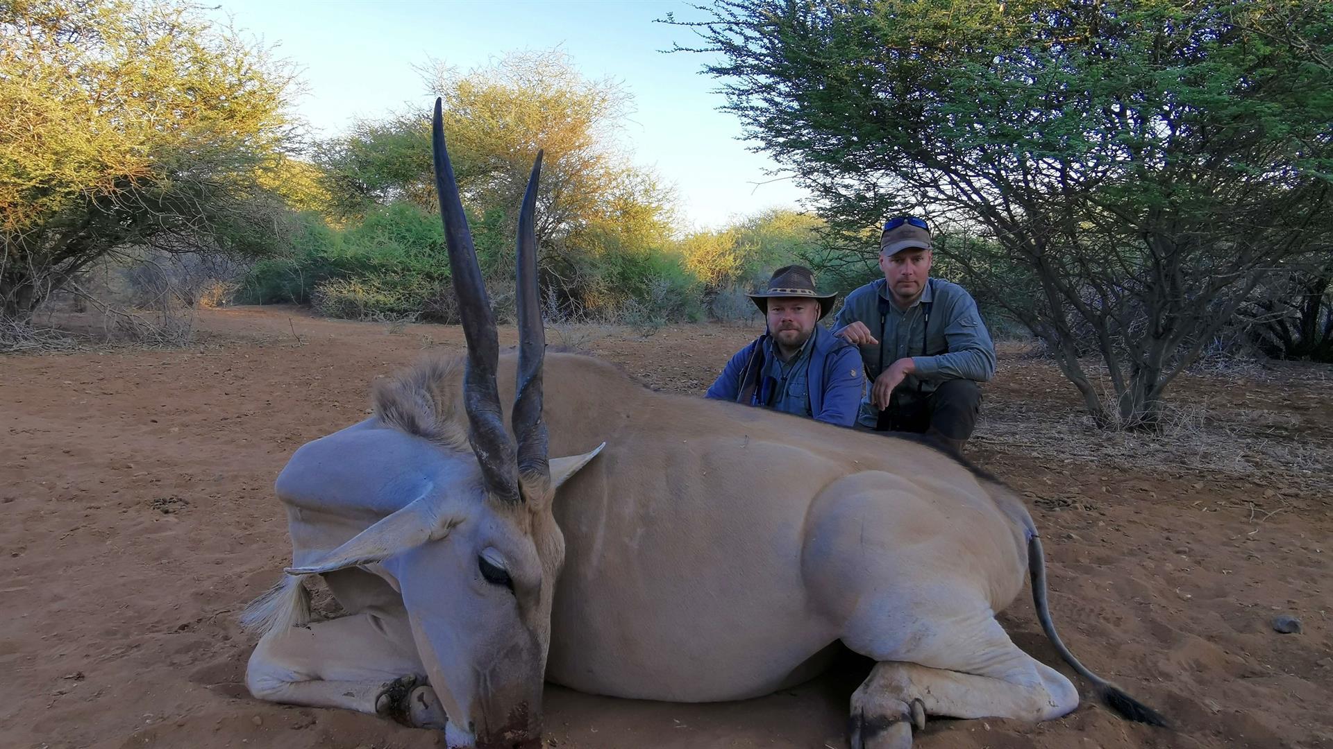 Namibian metsästysmatkat