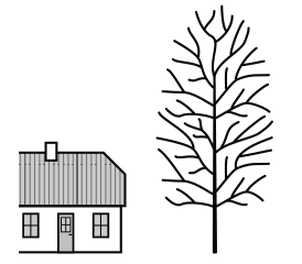 RAUDUSKOIVU