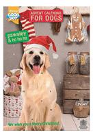 Hund Advents Kalender