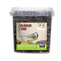 Solrosor i hink 1,3 kg