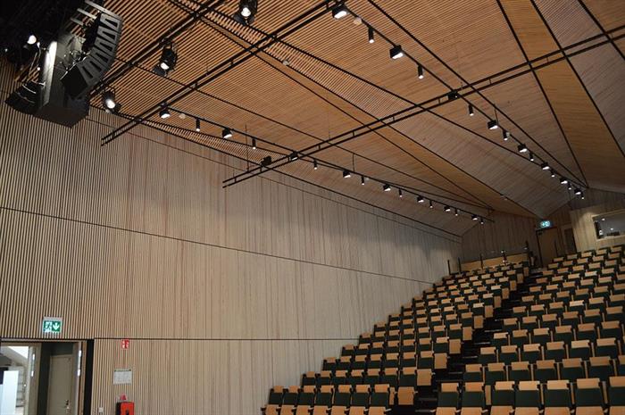 LINEARRAY INSTALLATION AULA WESTERLUNDSKA GYMNASIET