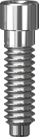 Screw for Scan Abutment (2 items)